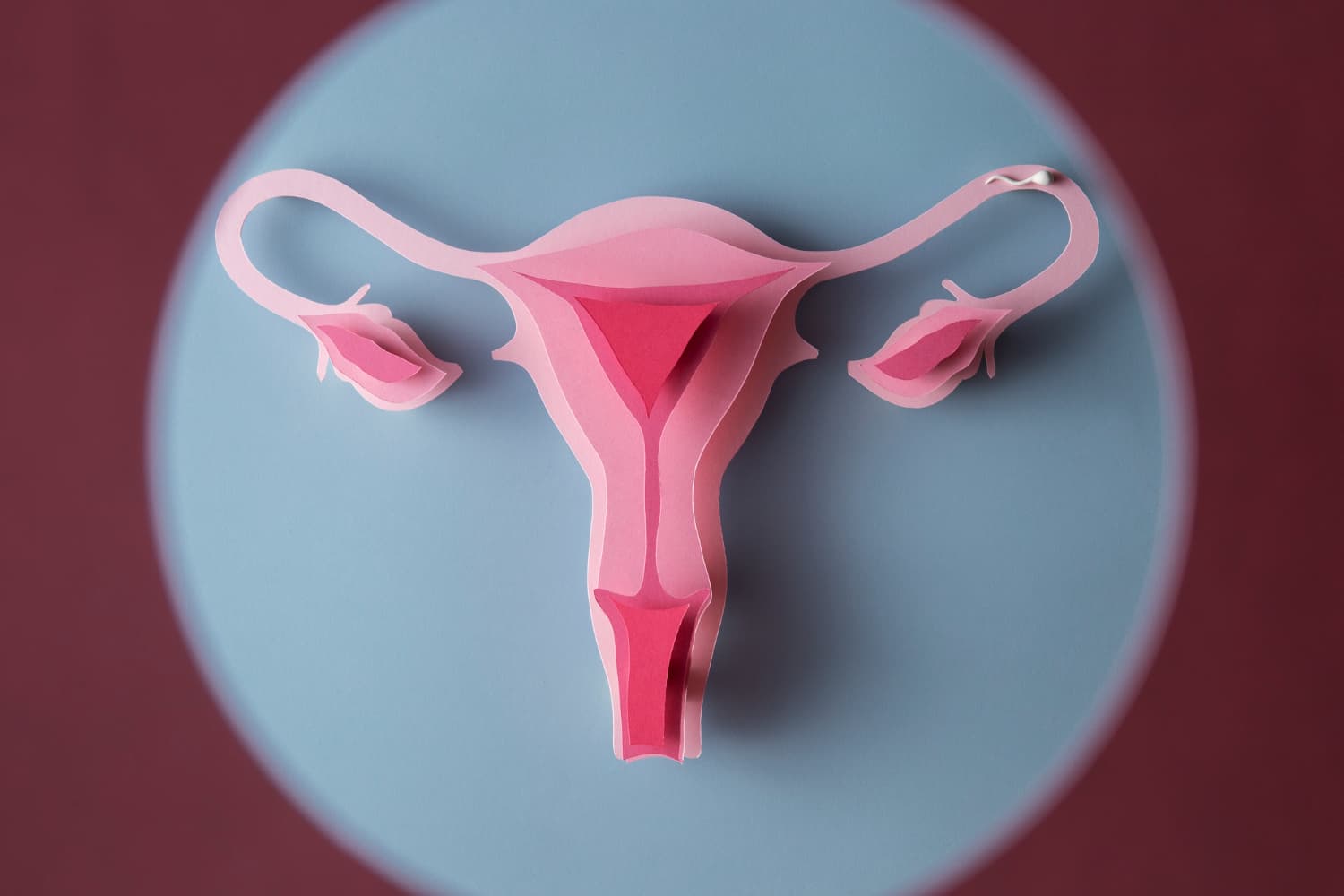 Bursa Genital Estetik